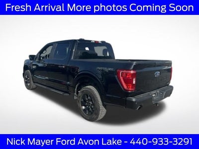 2023 Ford F-150 XL Rattler Package