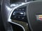 2020 Cadillac Escalade Platinum Edition