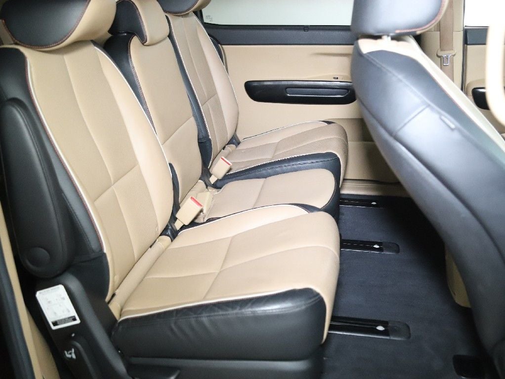 2017 Kia Sedona SX